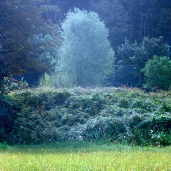 FOR REST Perfume - Image 4